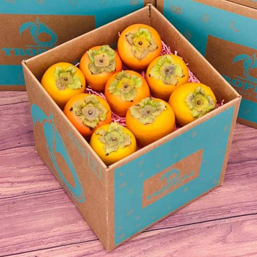 Hachiya Persimmon Box